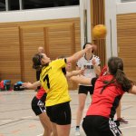 2016_01_23 Landesliga Frauen